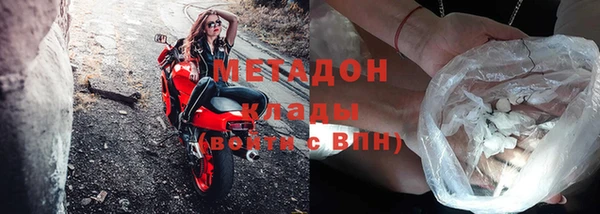 прущие грибы Покровск
