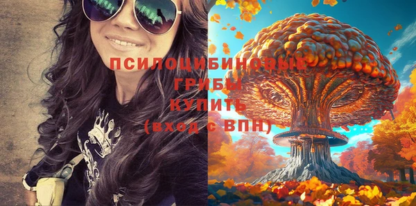 таблы Алзамай