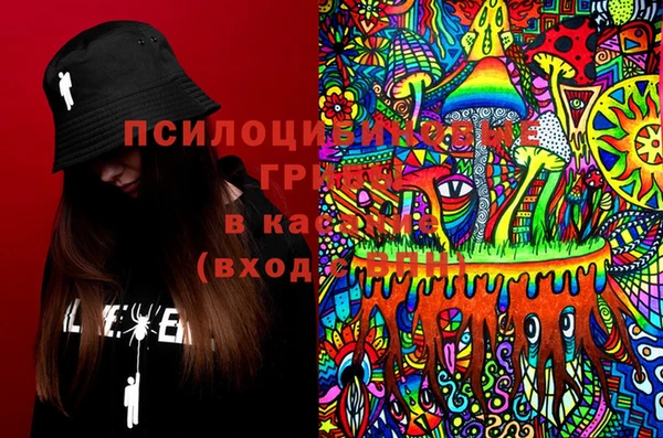ПСИЛОЦИБИНОВЫЕ ГРИБЫ Алексин
