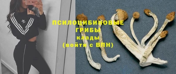 таблы Алзамай