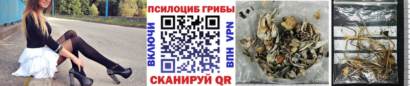 гидра ССЫЛКА Игра Псилоцибиновые грибы Psilocybine cubensis